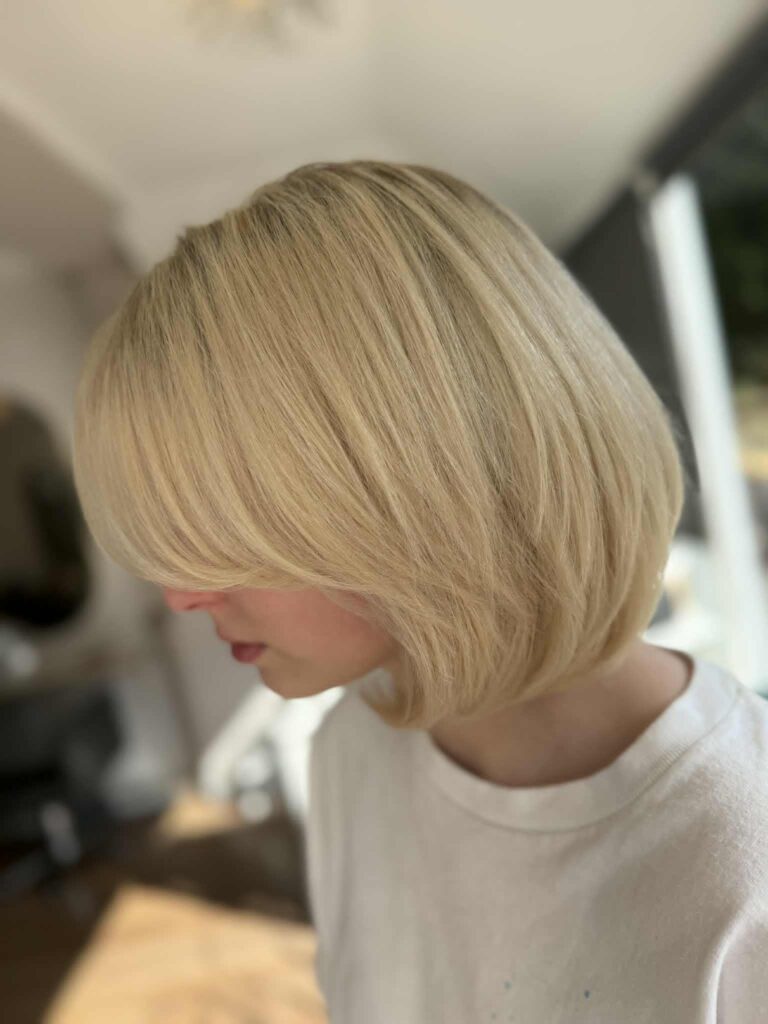 Hair Colour Services at the Hair Regime